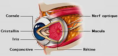 Ophtalmologie Tunisie